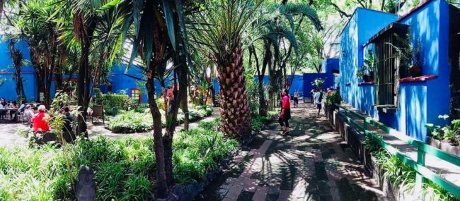 Jardin de Frida-maison bleue- mexico