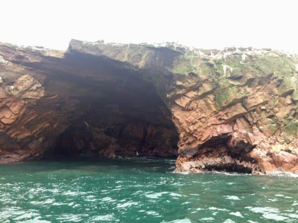 Île ballestas-Islas ballestas-rocher-ocean-paracas-perou-vague-animaux